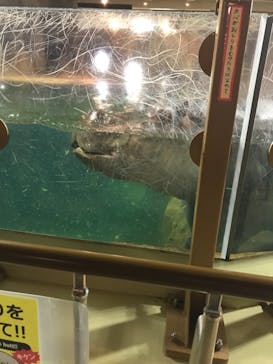 旭川市旭山動物園に投稿された画像（2021/10/10）