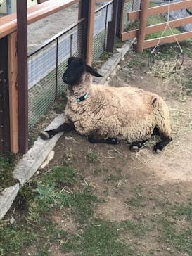 旭川市旭山動物園に投稿された画像（2021/10/10）