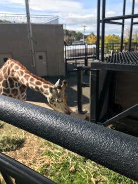 旭川市旭山動物園に投稿された画像（2021/10/10）