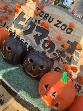 東武動物公園に投稿された画像（2021/10/10）