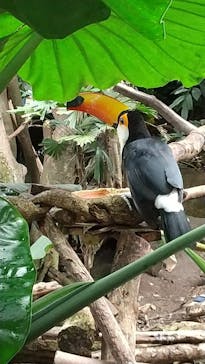 那須どうぶつ王国に投稿された画像（2021/10/10）