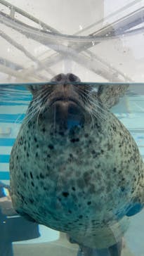 京都水族館に投稿された画像（2021/10/10）