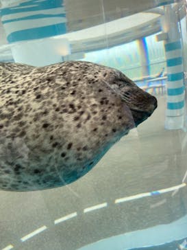 京都水族館に投稿された画像（2021/10/10）