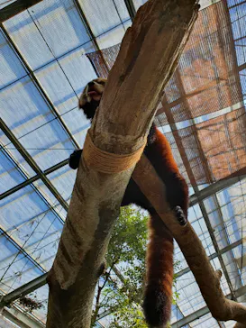 神戸どうぶつ王国に投稿された画像（2021/10/10）