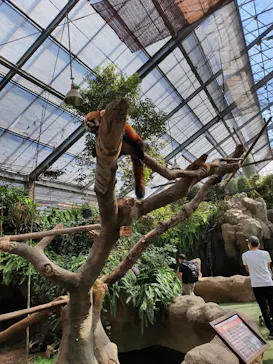 神戸どうぶつ王国に投稿された画像（2021/10/10）