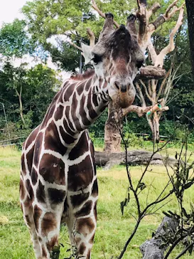天王寺動物園に投稿された画像（2021/10/10）