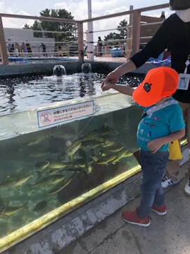 横浜・八景島シーパラダイスに投稿された画像（2021/10/10）