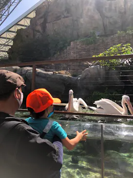 横浜・八景島シーパラダイスに投稿された画像（2021/10/10）