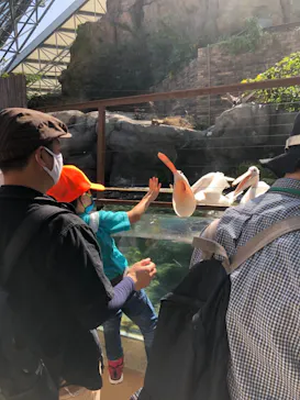 横浜・八景島シーパラダイスに投稿された画像（2021/10/10）