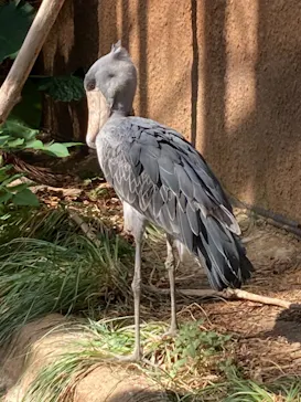 神戸どうぶつ王国に投稿された画像（2021/10/10）