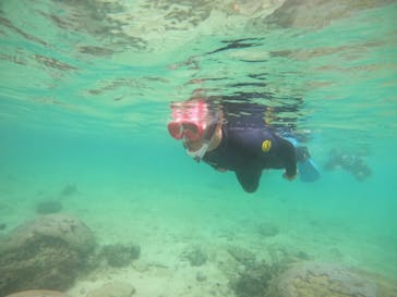 武藤潜水に投稿された画像（2021/10/11）