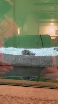 しながわ水族館に投稿された画像（2021/10/11）