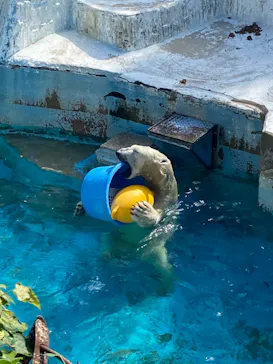 天王寺動物園に投稿された画像（2021/10/11）