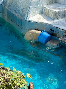天王寺動物園に投稿された画像（2021/10/11）