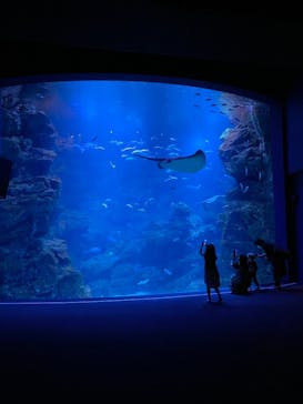 京都鉄道博物館×京都水族館に投稿された画像（2021/10/11）