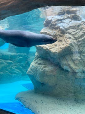 京都鉄道博物館×京都水族館に投稿された画像（2021/10/11）