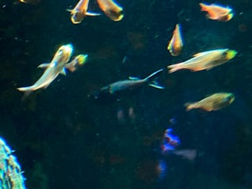 サンシャイン水族館に投稿された画像（2021/10/11）