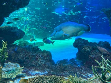 サンシャイン水族館に投稿された画像（2021/10/11）