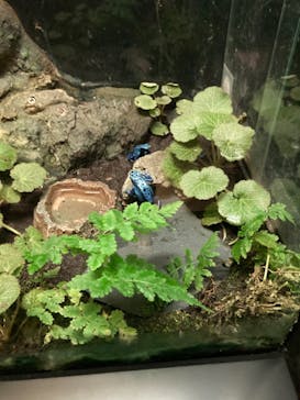 サンシャイン水族館に投稿された画像（2021/10/11）