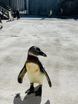 横浜・八景島シーパラダイスに投稿された画像（2021/10/11）
