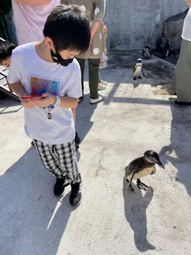 横浜・八景島シーパラダイスに投稿された画像（2021/10/11）