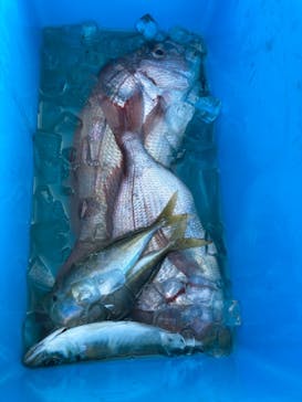 サルワーレ（周防大島店）に投稿された画像（2021/10/11）