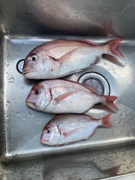 サルワーレ（周防大島店）に投稿された画像（2021/10/11）