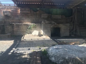 東武動物公園に投稿された画像（2021/10/11）