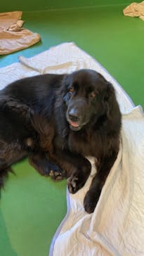 長崎バイオパークに投稿された画像（2021/10/11）