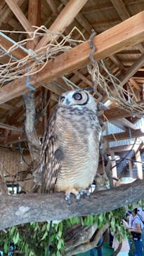 長崎バイオパークに投稿された画像（2021/10/11）