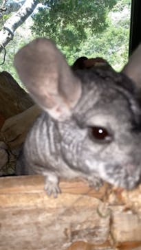 長崎バイオパークに投稿された画像（2021/10/11）