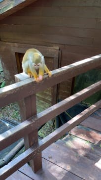 長崎バイオパークに投稿された画像（2021/10/11）