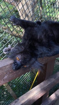 長崎バイオパークに投稿された画像（2021/10/11）