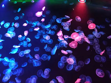 すみだ水族館に投稿された画像（2021/10/11）