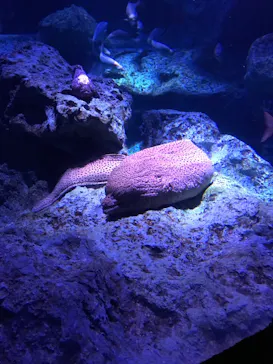 すみだ水族館に投稿された画像（2021/10/11）