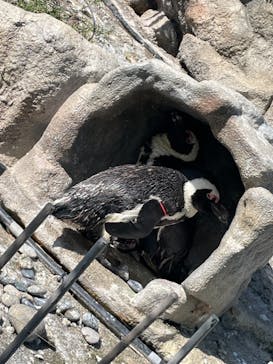 サンシャイン水族館に投稿された画像（2021/10/11）