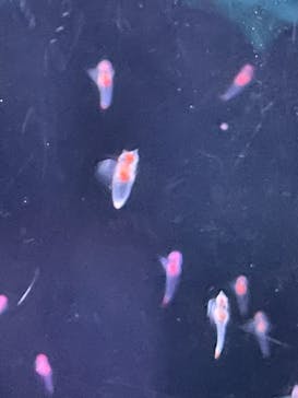 サンシャイン水族館に投稿された画像（2021/10/11）