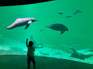 カワスイ 川崎⽔族館に投稿された画像（2021/10/11）