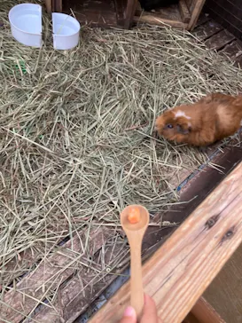 神戸どうぶつ王国に投稿された画像（2021/10/11）