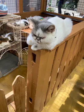 神戸どうぶつ王国に投稿された画像（2021/10/11）