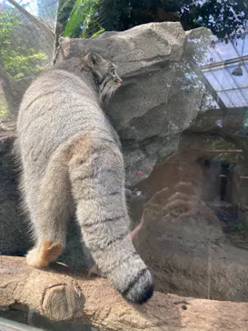 神戸どうぶつ王国に投稿された画像（2021/10/11）