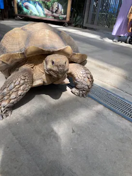 神戸どうぶつ王国に投稿された画像（2021/10/11）
