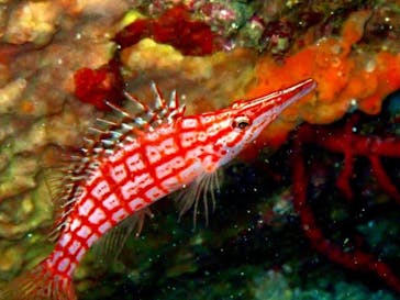 安良里マリンに投稿された画像（2021/10/11）