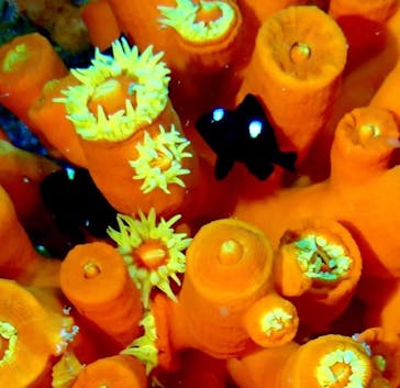 安良里マリンに投稿された画像（2021/10/11）