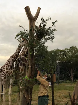 天王寺動物園に投稿された画像（2021/10/11）