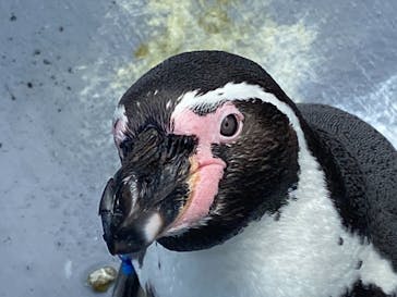 南知多ビーチランド＆南知多おもちゃ王国に投稿された画像（2021/10/11）