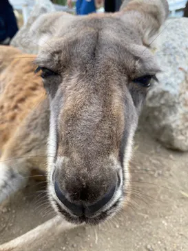 神戸どうぶつ王国に投稿された画像（2021/10/11）