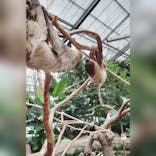 神戸どうぶつ王国に投稿された画像（2021/10/11）