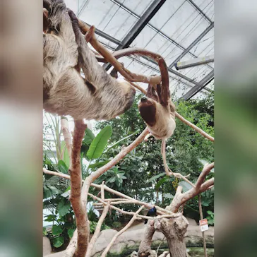 神戸どうぶつ王国に投稿された画像（2021/10/11）