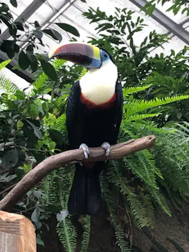 神戸どうぶつ王国に投稿された画像（2021/10/11）